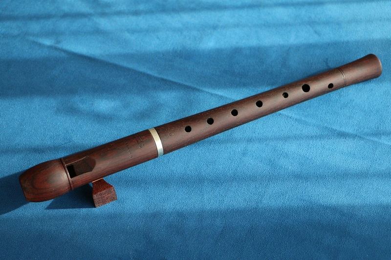 Preschool music and recorder lessons in Scarborough at Nuzvid Music Academy