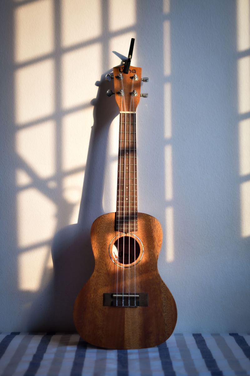 Ukulele lessons in Scarborough at Nuzvid Music Academy