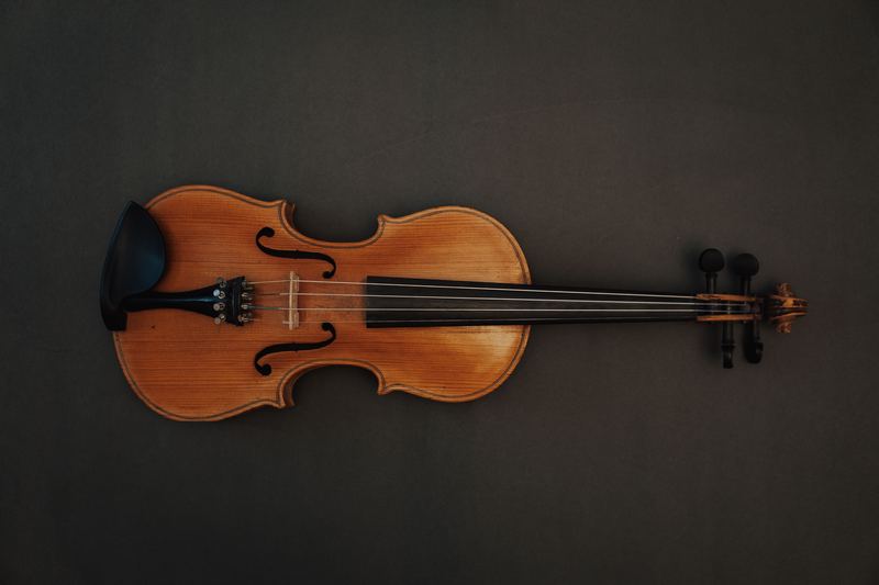 Violin lessons in Scarborough at Nuzvid Music Academy